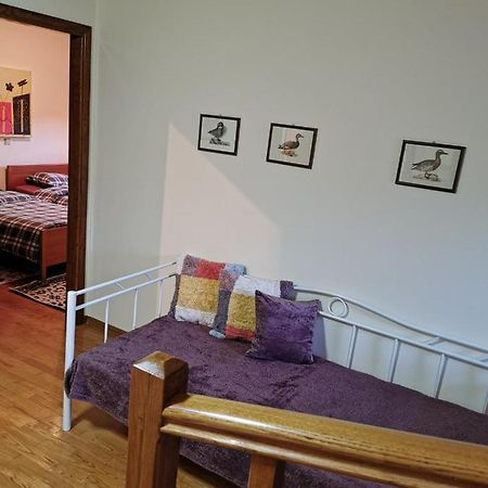 Villa Ευορέων Pertouli Exterior photo